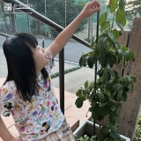 ハナミズキと記念撮影