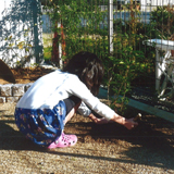 愛知県松山市ジューンベリーと四季咲きモクセイの植樹風景