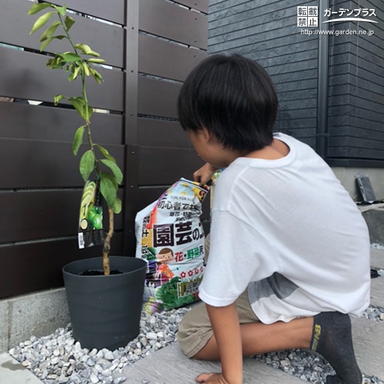 植樹後のレモンと記念撮影