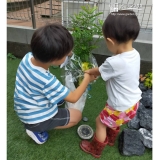植樹前のシマトネリコと記念撮影