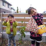 青森県弘前市ライラックと四季咲きモクセイの植樹風景