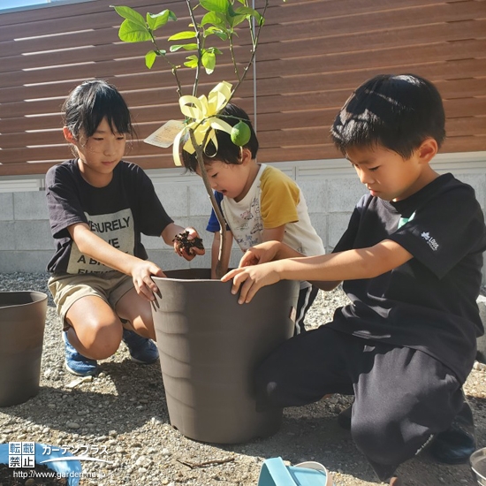 記念樹を植樹中の様子