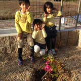 滋賀県湖南市ジューンベリーの植樹風景