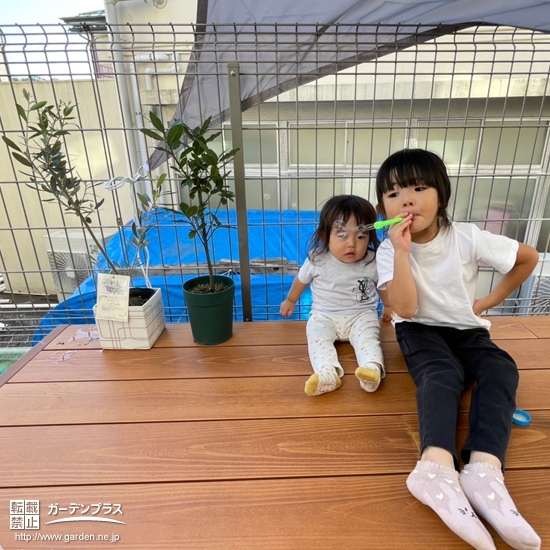 オリーブ、月桂樹（ローリエ）と記念撮影①