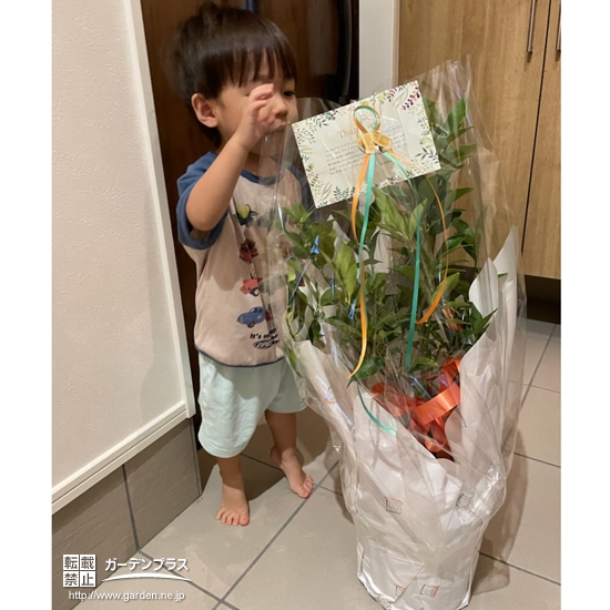 届いたキンカンと記念撮影