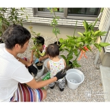 記念樹植樹中の様子