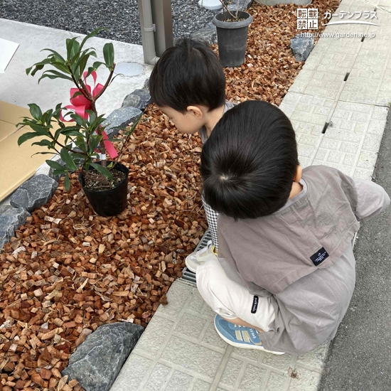 記念樹植樹前の様子