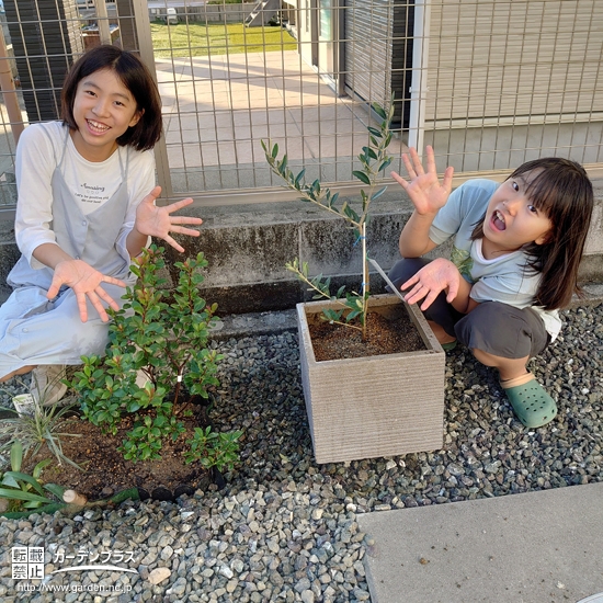 植樹後の記念樹と記念撮影