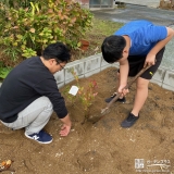 ブルーベリー植樹の様子①