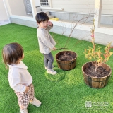 記念植樹の様子②