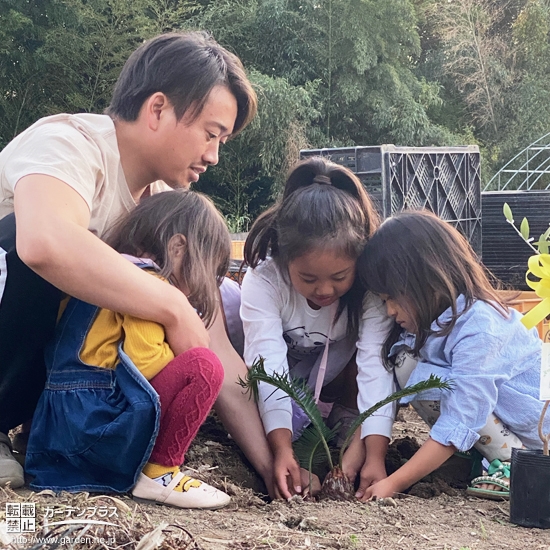 記念植樹の様子