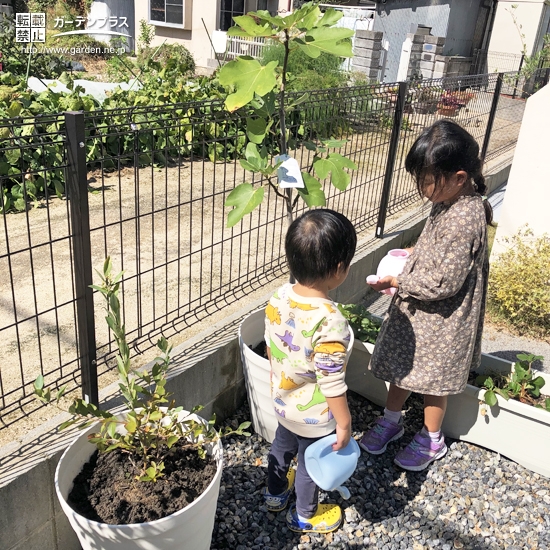 記念植樹の様子