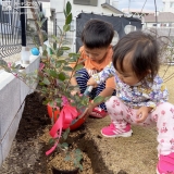 記念植樹の様子