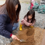 ジューンベリー植樹中の様子