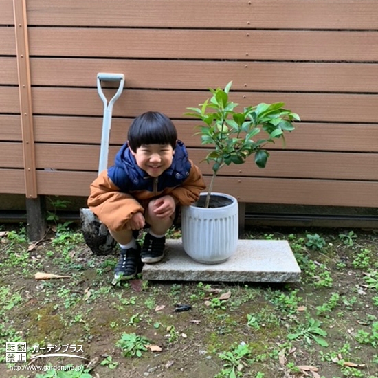 植樹後のレモンと記念撮影①