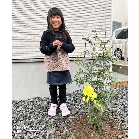 植樹後のシマトネリコと記念撮影