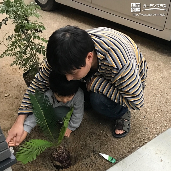 植樹中の様子