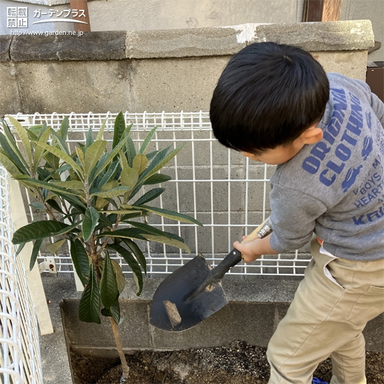 植樹中の様子①