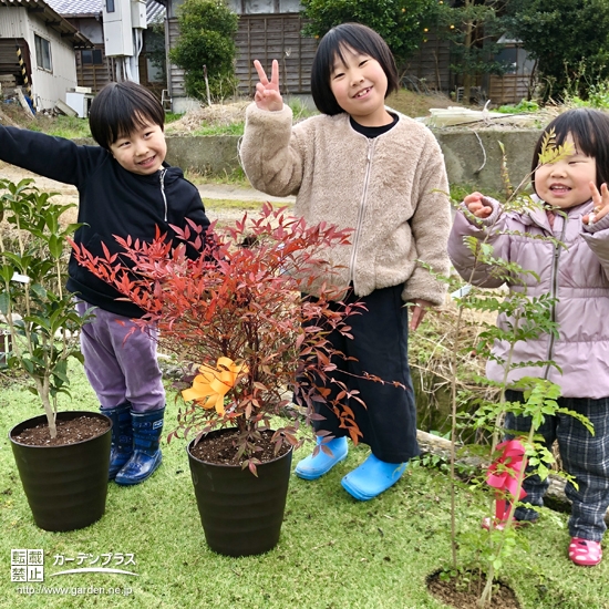 記念樹との記念撮影