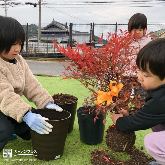 植樹の様子①