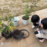 植樹中の様子