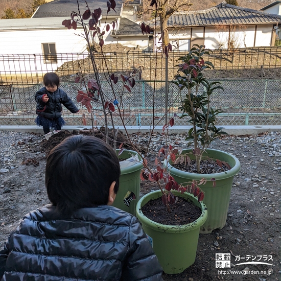 記念樹との記念撮影