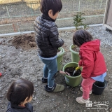 植樹中の様子