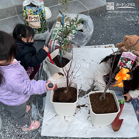 植樹の様子