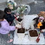 植樹の様子