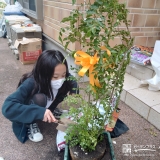 植樹中の様子