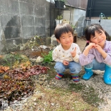 植樹後のユキヤナギと記念撮影