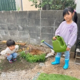 ユキヤナギにお水をあげている様子