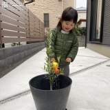 記念樹植樹の様子