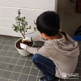 記念樹植樹中の様子