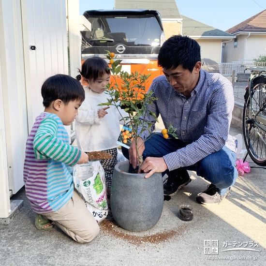 親子仲良く植樹の様子