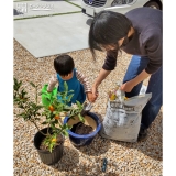 植樹の様子