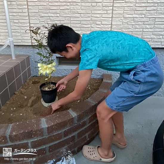 記念樹植樹の様子