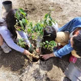 記念樹植樹の様子②