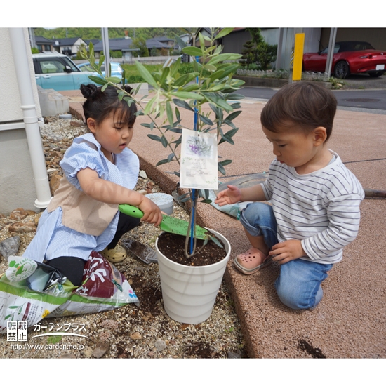 記念樹植樹の様子①