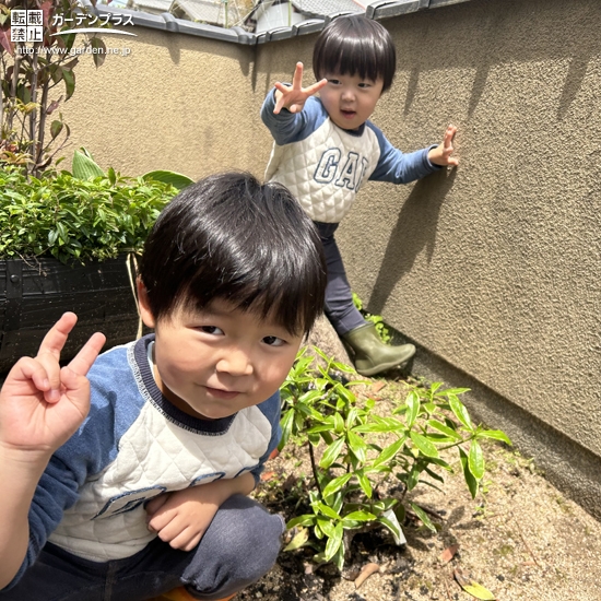 植樹後のジンチョウゲと記念撮影