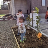 キンカン,レモン植樹の様子