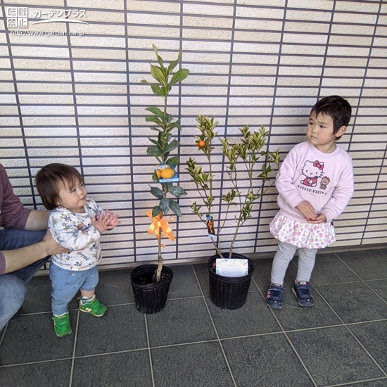 届いた苗木との記念撮影