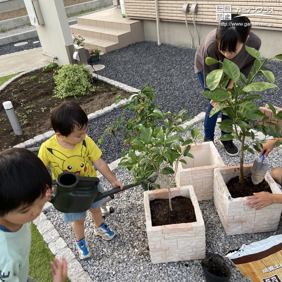 記念樹植樹の様子②