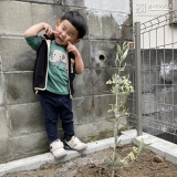 植樹したオリーブと記念撮影