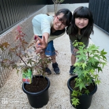 植樹したもみじと記念撮影