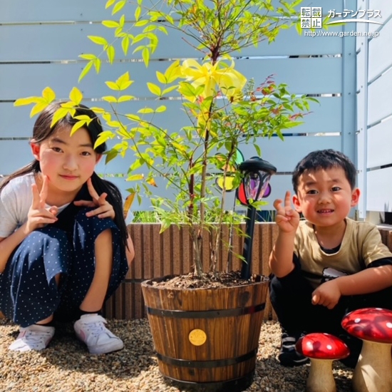 植樹したナンテンと記念撮影