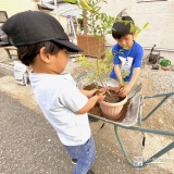 ブルーベリー植樹の様子