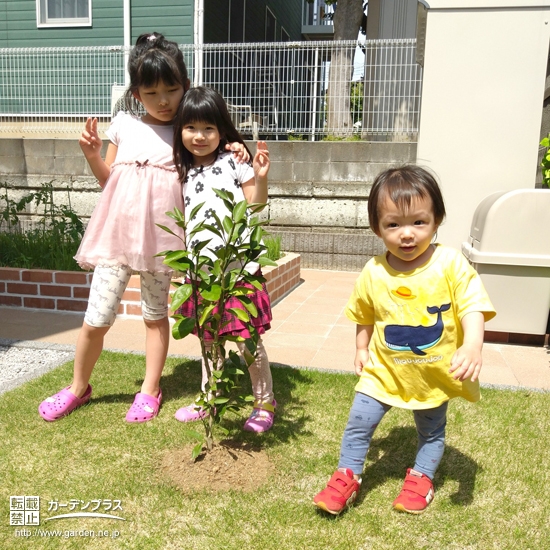 植樹した温州ミカンの木と記念撮影