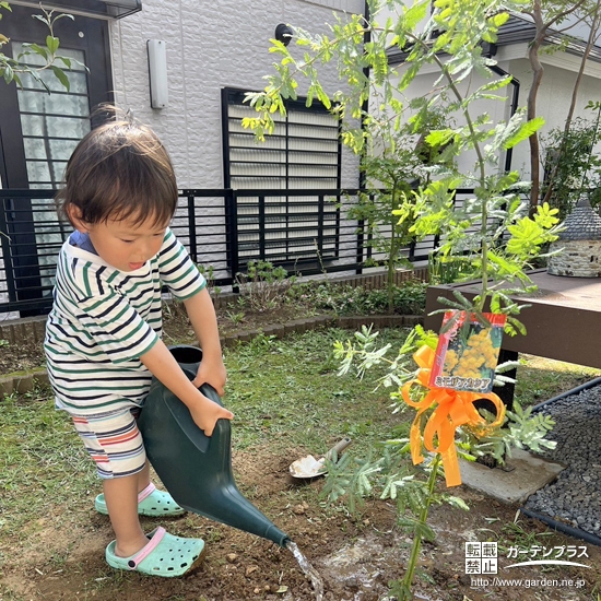 記念樹植樹の様子②