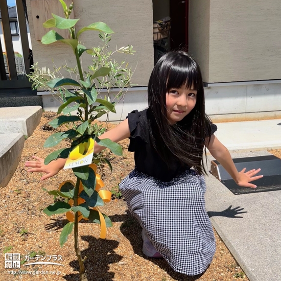 植樹した懸念樹と記念撮影